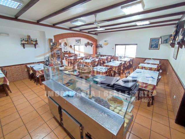 Loja venda em Ceiceira, Monchique
