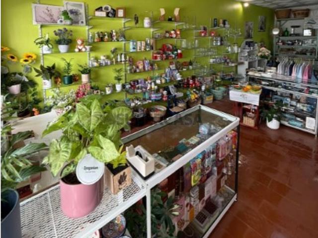 Armazém venda em Monchique, Faro