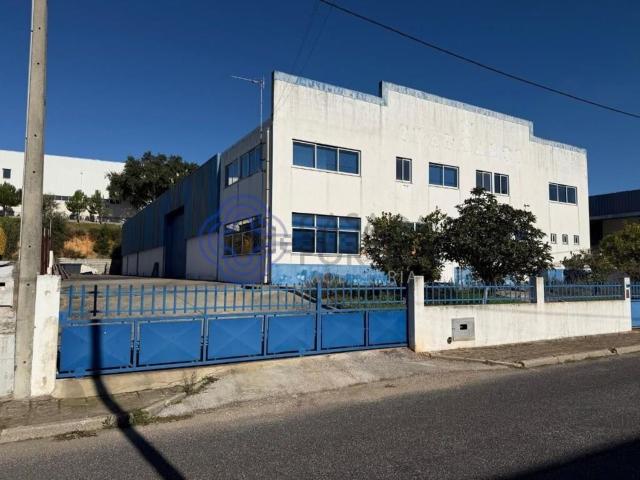 Armazém venda em Constância, Santarém