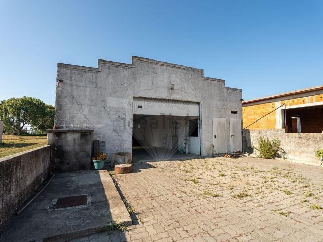 Armazém venda em Murtosa, Aveiro
