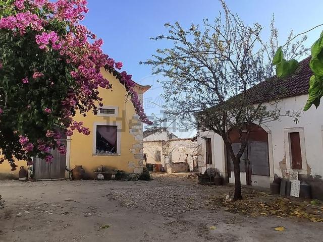 Armazém venda em Olaia e Paço, Torres Novas