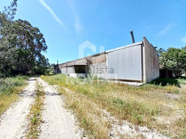 Armazém venda em Olival, Ourém