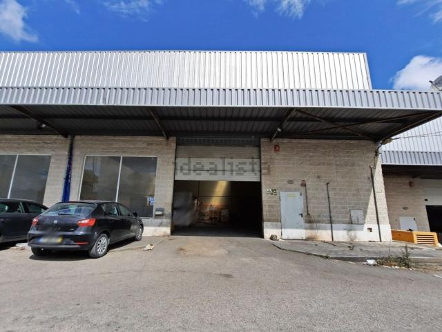 Armazém venda em Palmela