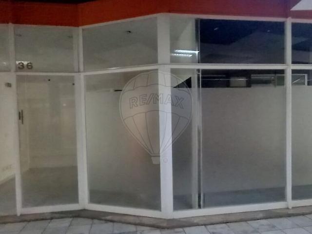 Loja alugar em Cantanhede