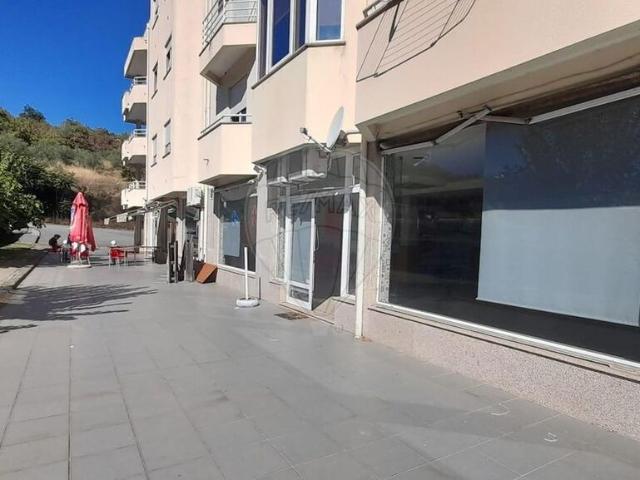 Loja alugar em Lamego, Viseu