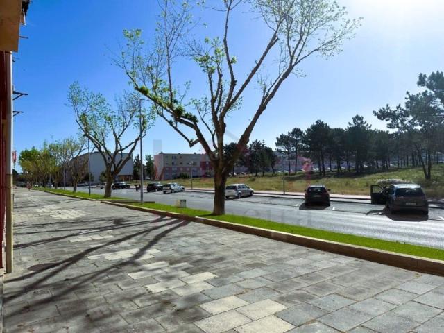 Loja alugar em Santiago Do Cacém, Setúbal