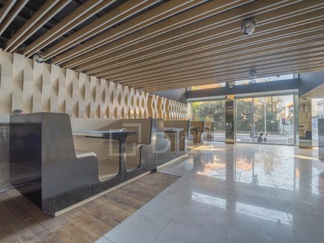 Loja alugar em Foco, Porto