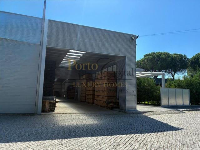 Armazém alugar em Bitarães, Porto