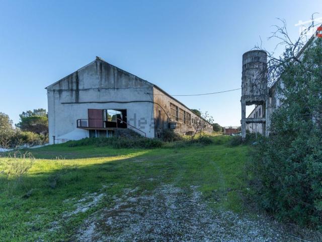 Armazém venda em Torres Novas, Santarém