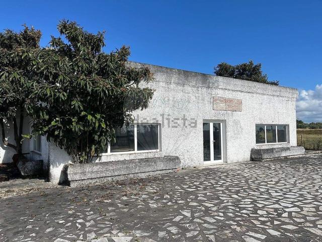 Armazém venda em Pegões-Gare, Montijo