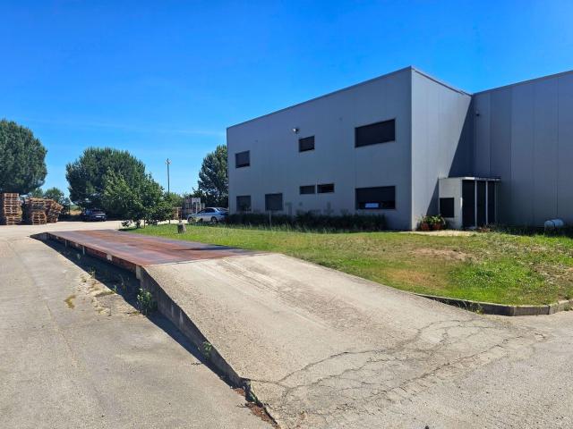 Armazém venda em Colonato de Santo Isidro de Pegões, Montijo