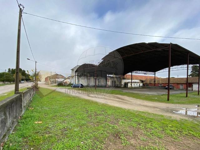 Armazém venda em Montijo, Setúbal
