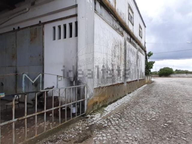 Armazém venda em Pegões-Gare, Montijo
