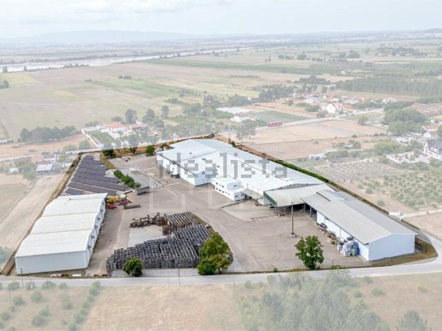 Armazém venda em Chamusca e Pinheiro Grande, Chamusca