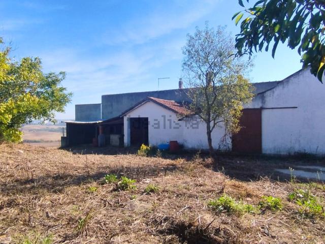 Armazém venda em Santarém