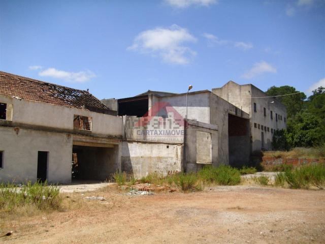 Armazém venda em Santarém