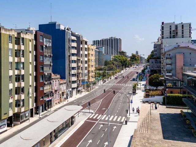Loja alugar em Porto
