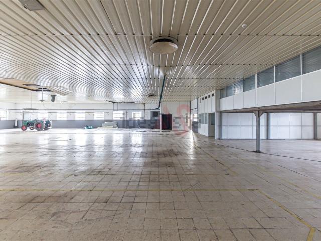 Armazém venda em Felgueiras, Regilde