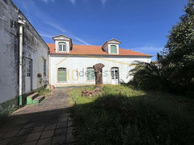 Armazém venda em Torres Novas, Santarém