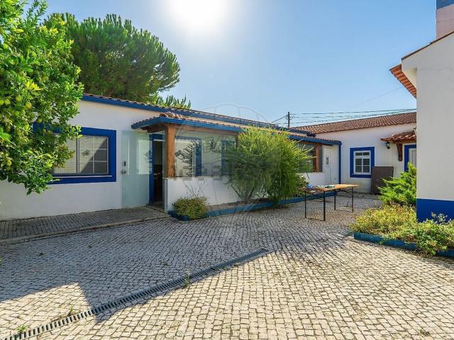 Armazém venda em Torres Novas, Santarém