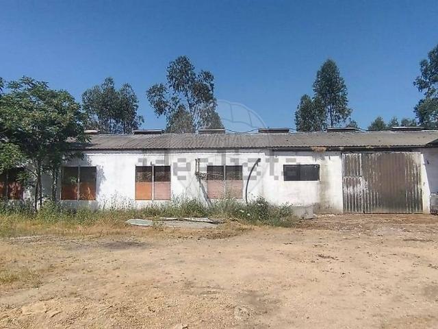 Armazém venda em Ourém, Santarém
