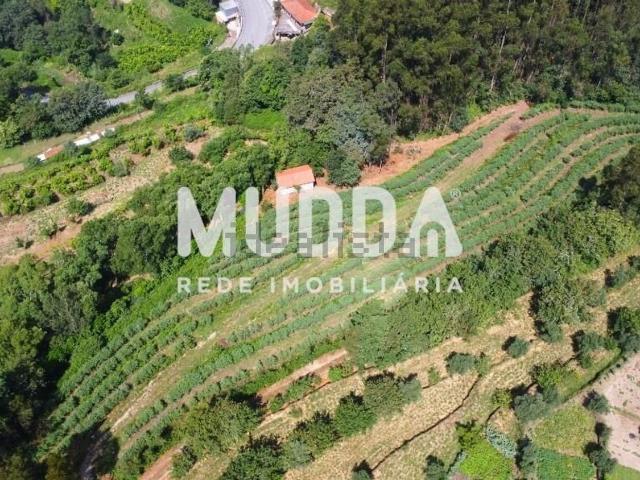 Loja venda em Sever Do Vouga, Aveiro