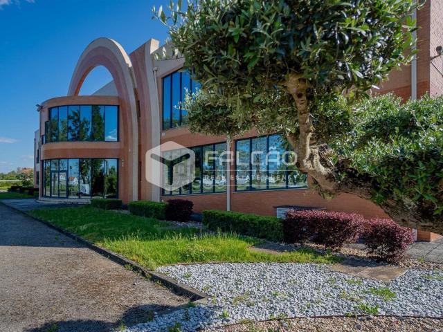 Armazém alugar em Santarém
