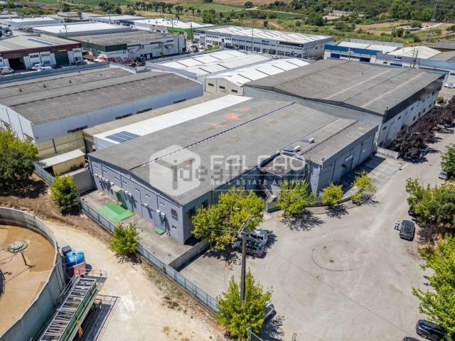 Armazém venda em Santarém