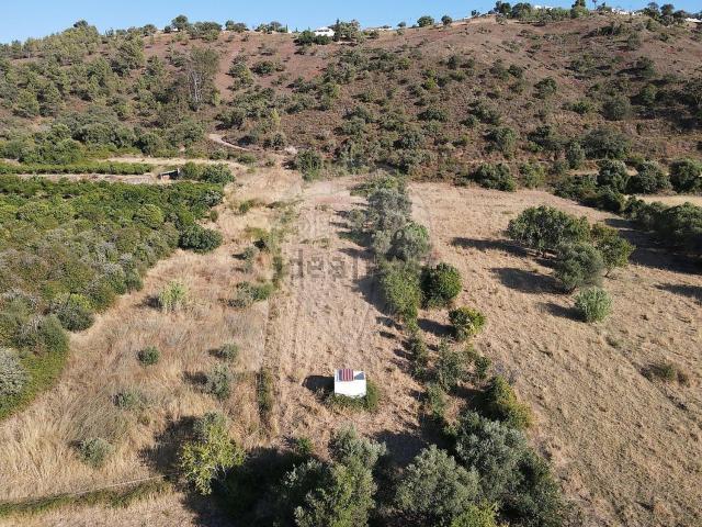 Armazém venda em São Bartolomeu De Messines, Faro