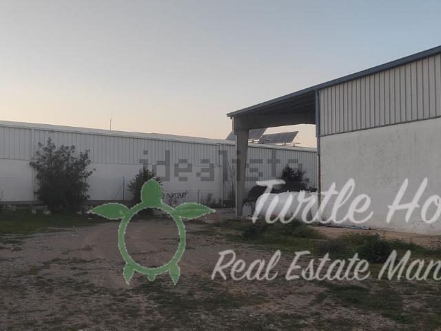 Armazém venda em Barrabés, São Brás De Alportel