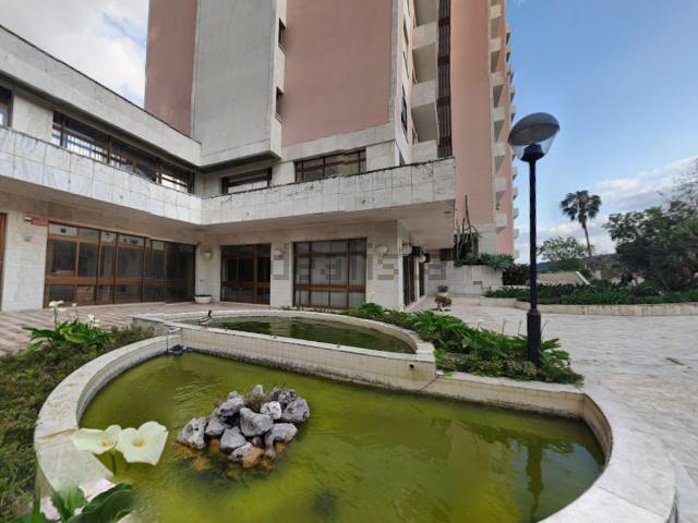 Loja alugar em Lisboa