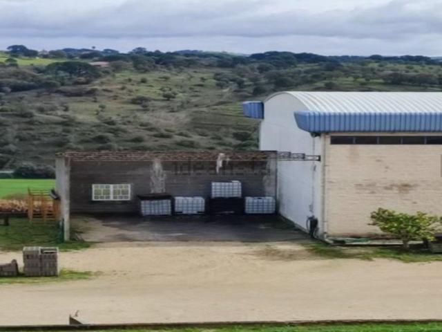 Armazém venda em Torres Novas, Santarém