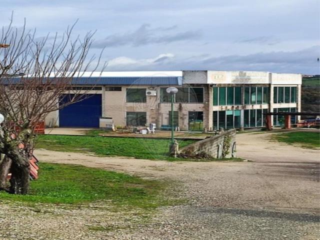 Armazém venda em Torres Novas, Santarém