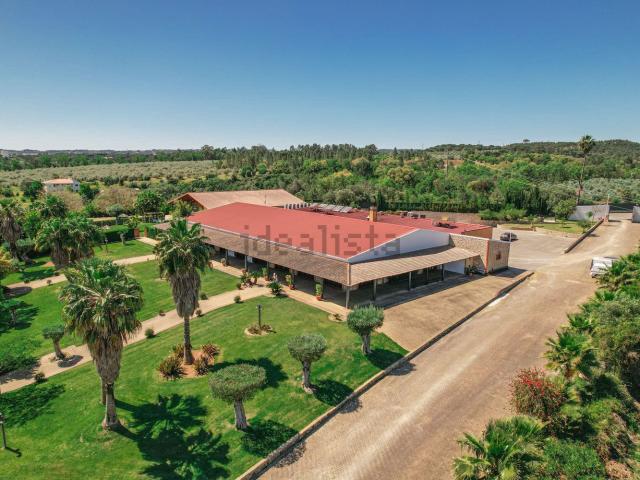 Loja venda em Abrantes, Santarém