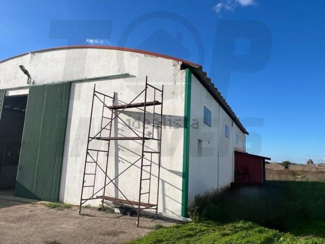 Armazém venda em Salvaterra De Magos, Santarém