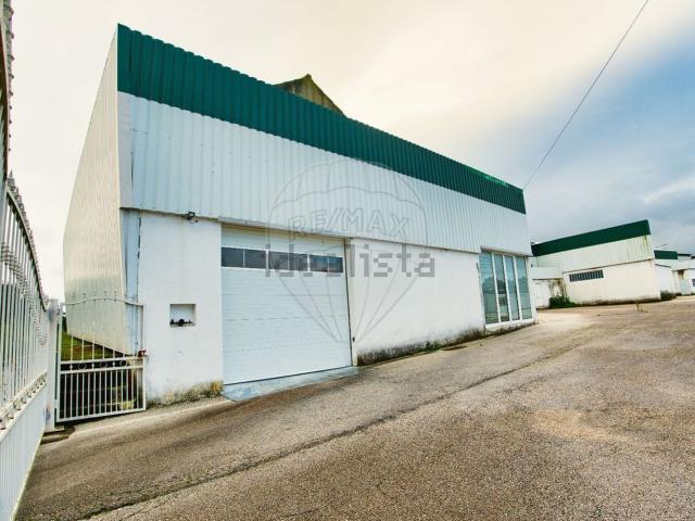 Armazém alugar em Torres Novas, Santarém