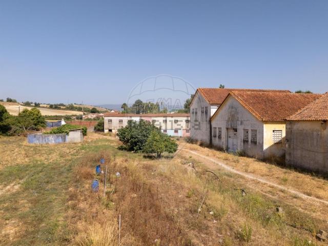 Armazém venda em Torres Novas, Santarém