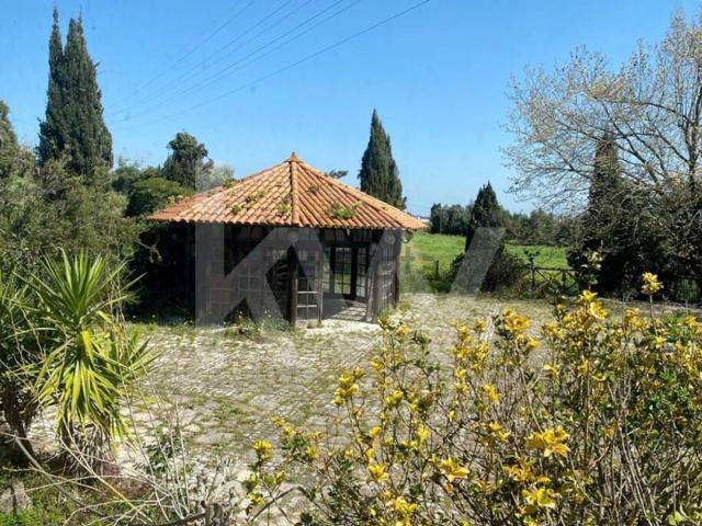 Loja venda em Setúbal
