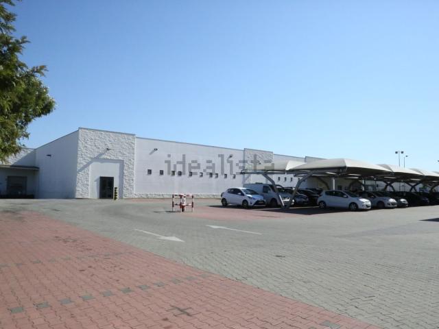 Loja alugar em Sines, Setúbal