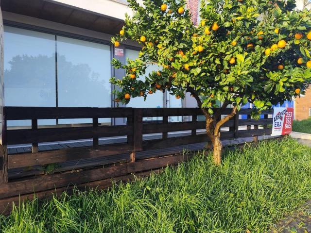 Loja alugar em Vila Verde, Braga