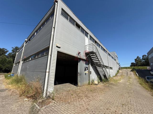Armazém venda em Tamel (São Veríssimo), Arcozelo