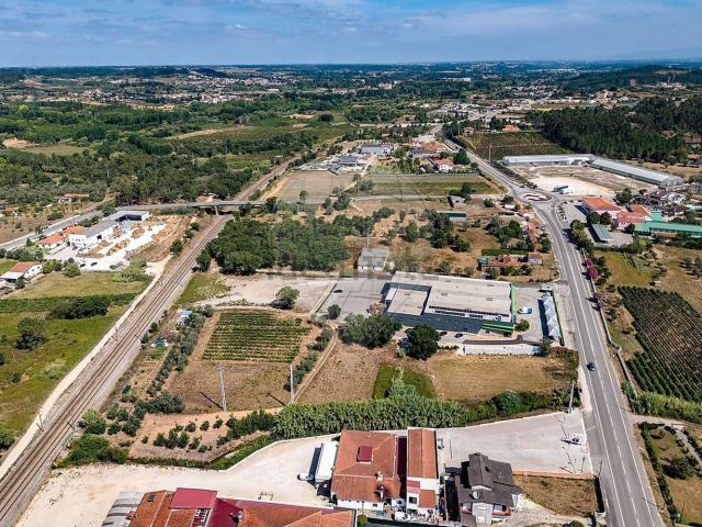 Armazém venda em Anadia, Aveiro