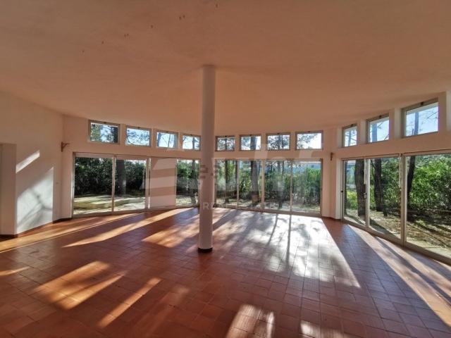 Loja venda em Torreira, Aveiro