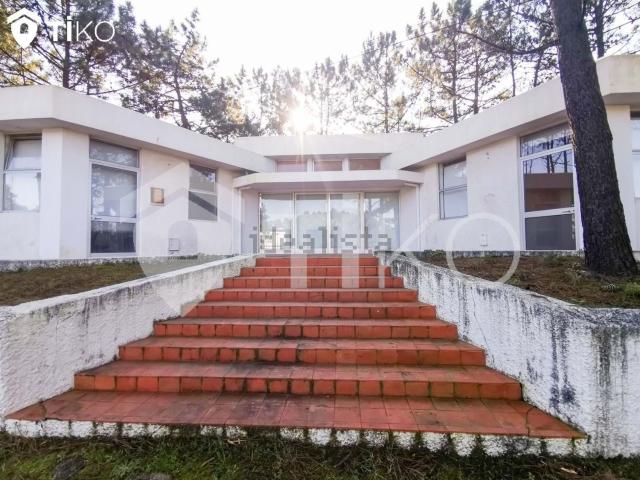 Loja venda em Torreira, Aveiro