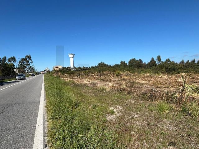 Armazém venda em Ponte De Vagos, Aveiro