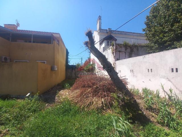 Loja venda em Santarém