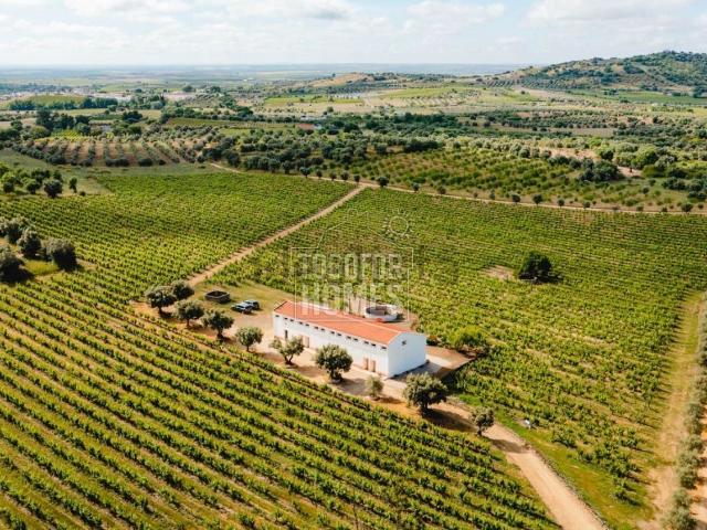 Loja venda em Vidigueira, Beja
