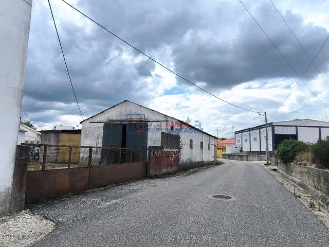 Armazém venda em Alcanena, Santarém