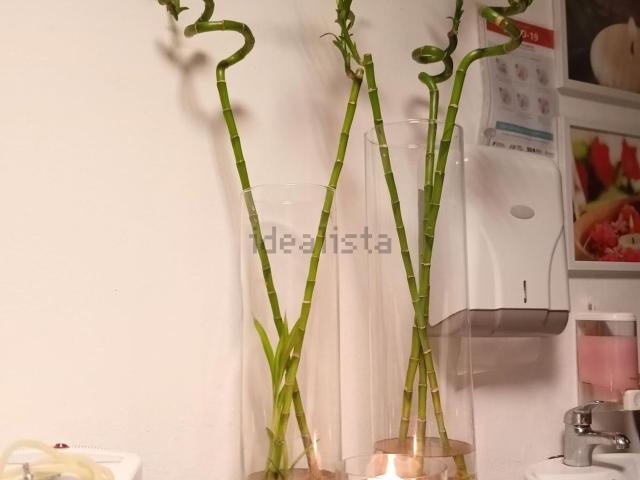 Loja alugar em Santo Tirso, Porto