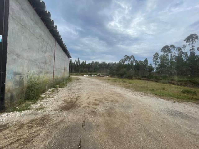 Loja venda em Anadia, Aveiro
